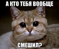 а кто тебя вообще смешил?