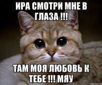 Ира Смотри Мне В Глаза !!! Там Моя Любовь К Тебе !!! МЯУ