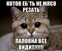 Котов еб*ть не мясо резать Паловна все видит!!!!!!