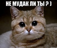 НЕ мудак ли ты ? ) 