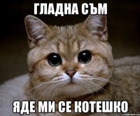 гладна съм яде ми се котешко