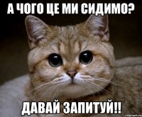 а чого це ми сидимо? давай запитуй!!