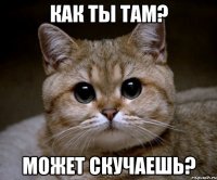 Как ты там? Может скучаешь?