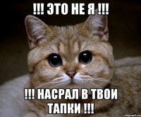 !!! ЭТО НЕ Я !!! !!! НАСРАЛ В ТВОИ ТАПКИ !!!