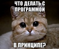 Что делать с программой в принципе?