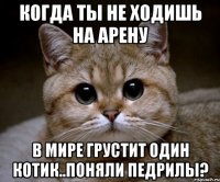 Когда ты не ходишь на арену В мире грустит один котик..поняли педрилы?