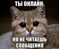 ты онлайн, но не читаешь сообщения