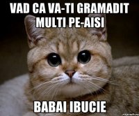 VAD CA VA-TI GRAMADIT MULTI PE-AISI BABAI IBUCIE