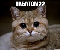 Набатом?? 