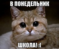 В понедельник ШКОЛА! :(