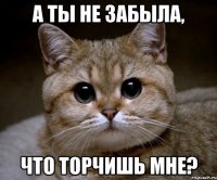 А ты не забыла, что торчишь мне?