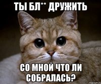 ты бл** дружить со мной что ли собралась?