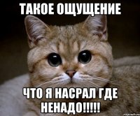 ТАКОЕ ОЩУЩЕНИЕ ЧТО Я НАСРАЛ ГДЕ НЕНАДО!!!!!