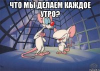 Что мы делаем каждое утро? 