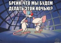 Брейн, что мы будем делать этой ночью? 