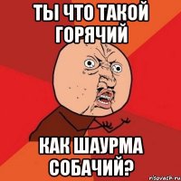 Ты что такой горячий Как шаурма собачий?