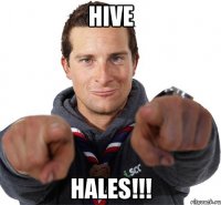 HIVE Hales!!!