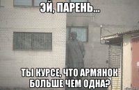  ты курсе, что армянок больше чем одна?