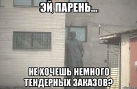 Эй парень... Не хочешь немного тендерных заказов?