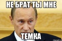 Не брат ты мне Темка