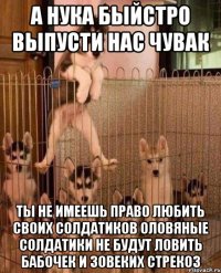 а нука быйстро выпусти нас чувак ты не имеешь право любить своих солдатиков оловяные солдатики не будут ловить бабочек и зовеких стрекоз