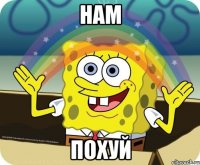 Нам Похуй