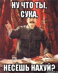 ну что ты, сука, несёшь нахуй?