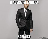 Шавуха на гашека Заебись