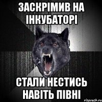 Заскрімив на інкубаторі Стали нестись навіть півні