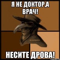 я не доктор,а врач! Несите дрова!