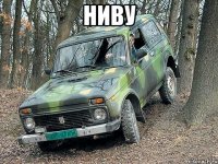 ниву 