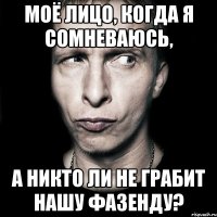 Моё лицо, когда я сомневаюсь, а никто ли не грабит нашу фазенду?