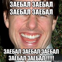 заебал заебал заебал заебал заебал заебал заебал заебал заебал !!!!!