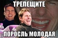 Трепещите Поросль молодая