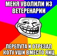 Меня уволили из ветеренарии перепута и отрезал коту уши вместо яиц