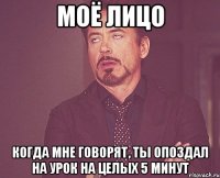 Моё лицо Когда мне говорят, ты опоздал на урок на целых 5 минут