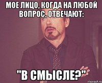 МОЕ ЛИЦО, КОГДА НА ЛЮБОЙ ВОПРОС, ОТВЕЧАЮТ: "В СМЫСЛЕ?"