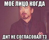 моё лицо когда ДИТ не согласовал ТЗ