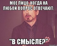 МОЕ ЛИЦО, КОГДА НА ЛЮБОЙ ВОПРОС ОТВЕЧАЮТ: "В СМЫСЛЕ?"