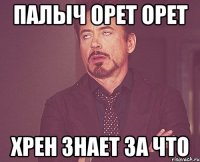 палыч орет орет хрен знает за что