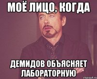 МОЁ ЛИЦО, КОГДА ДЕМИДОВ ОБЪЯСНЯЕТ ЛАБОРАТОРНУЮ