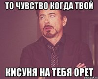 то чувство когда твой кисуня на тебя орет