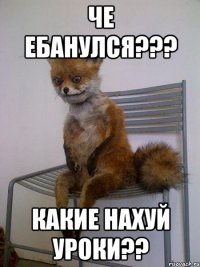 Че ебанулся??? Какие нахуй уроки??