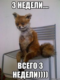 3 недели.... Всего 3 недели))))