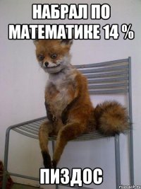 Набрал по математике 14 % ПИЗДОС