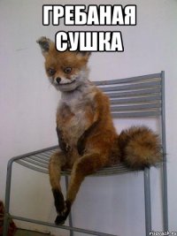 гребаная сушка 