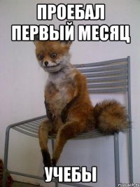 Проебал первый месяц Учебы