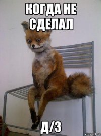 Когда не сделал Д/з