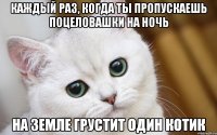 Каждый раз, когда ты пропускаешь поцеловашки на ночь На Земле грустит один котик