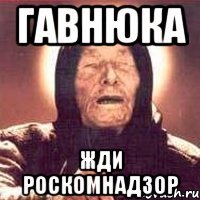 Гавнюка Жди Роскомнадзор